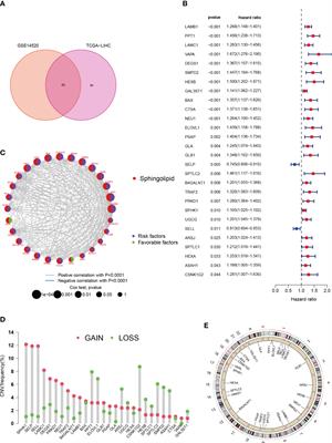 Prognostic signatures of sphingolipids: Understanding the immune landscape and predictive role in immunotherapy response and outcomes of hepatocellular carcinoma